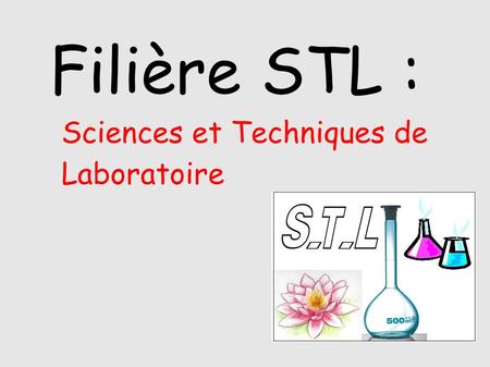 Filière STL : Sciences et Techniques de Laboratoire.