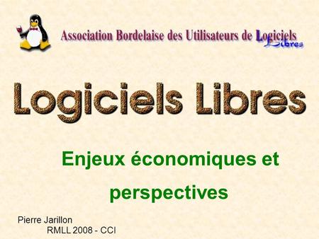 Enjeux économiques et perspectives Pierre Jarillon RMLL 2008 - CCI.