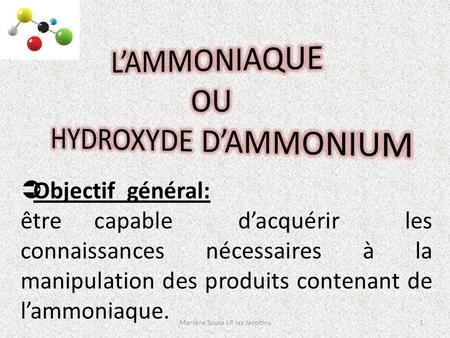 1Marlène Sousa LP les Jacobins  Objectif général: être capable d’acquérir les connaissances nécessaires à la manipulation des produits contenant de l’ammoniaque.