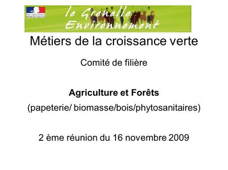 Métiers de la croissance verte Comité de filière Agriculture et Forêts (papeterie/ biomasse/bois/phytosanitaires) 2 ème réunion du 16 novembre 2009.