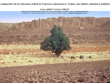 Etude comparative de la croissance radiale de Cupressus dupreziana A. Camus sous climats saharien et méditerranéen Fatiha ABDOUN & Michel THINON Laboratoire.