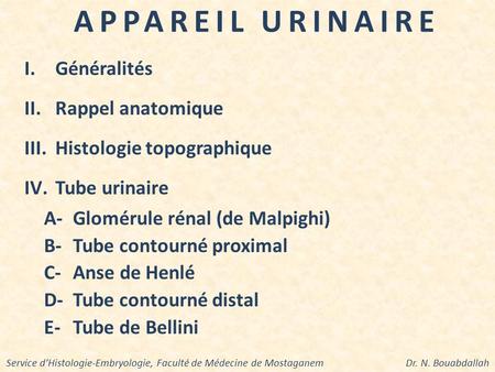 APPAREIL URINAIRE Généralités Rappel anatomique