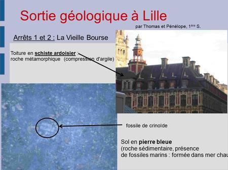 Sortie géologique à Lille Arrêts 1 et 2 : La Vieille Bourse Toiture en schiste ardoisier : roche métamorphique (compression d'argile) imperméable, résiste.