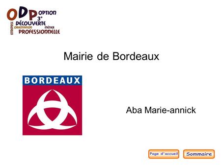 Mairie de Bordeaux Aba Marie-annick. Sommaire du diaporama ● Présentation générale de l'organisation Présentation générale de l'organisation Petit logo.