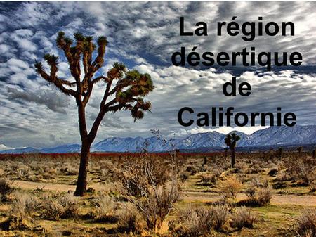 La région désertique de Californie. Les déserts de Californie Le désert des Mohaves. est une grande étendue désertique d'environ 40 000 km². Il est situé.
