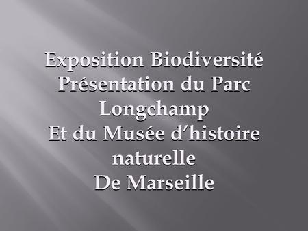 Exposition Biodiversité Présentation du Parc Longchamp Et du Musée d’histoire naturelle De Marseille.