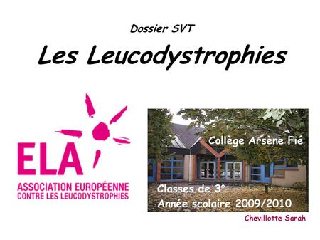 Dossier SVT Les Leucodystrophies Classes de 3° Année scolaire 2009/2010 Collège Arsène Fié Chevillotte Sarah.