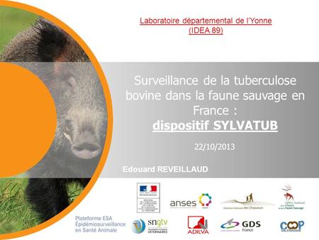 Edouard REVEILLAUD 22/10/2013 Surveillance de la tuberculose bovine dans la faune sauvage en France : dispositif SYLVATUB Laboratoire départemental de.