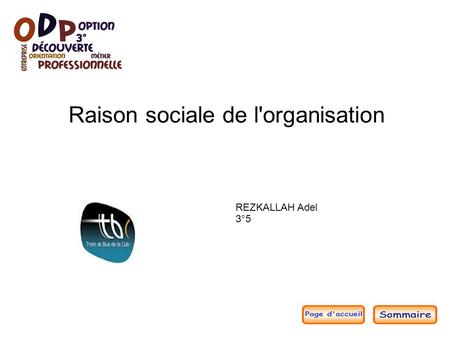 Raison sociale de l'organisation REZKALLAH Adel 3°5.