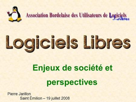 Enjeux de société et perspectives Pierre Jarillon Saint Émilion – 19 juillet 2008.