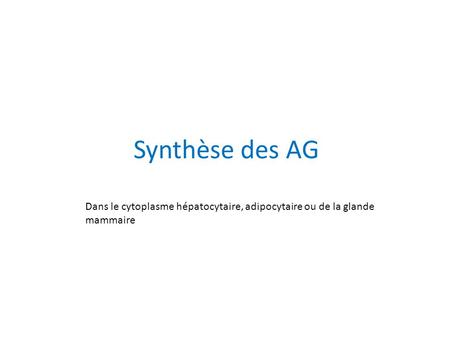 Synthèse des AG Dans le cytoplasme hépatocytaire, adipocytaire ou de la glande mammaire.