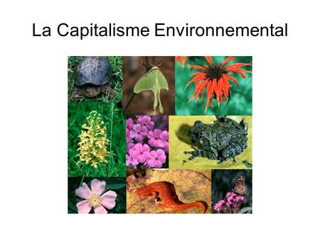 La Capitalisme Environnemental. Importance de la Biodiversité ● Diversité Biologique définie par la CBD (article 2) : diversité des espèces, écosystèmes.