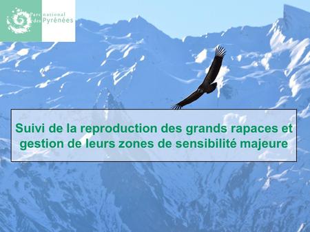 Parc national des Pyrénées 1 Suivi de la reproduction des grands rapaces et gestion de leurs zones de sensibilité majeure.