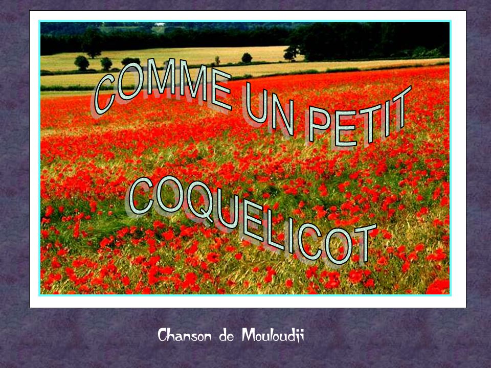 COMME UN PETIT COQUELICOT Chanson de Mouloudji. ppt video online