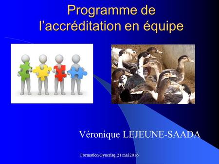 Programme de l’accréditation en équipe Véronique LEJEUNE-SAADA Formation Gynerisq, 21 mai 2016.
