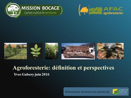 Agroforesterie: définition et perspectives Informations fournies pour parties par Yves Gabory juin 2016.