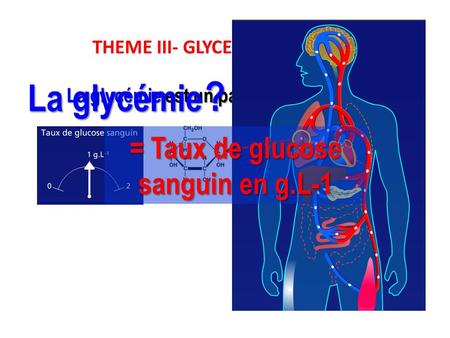 THEME III- GLYCEMIE ET DIABETE La glycémie est un paramètre sanguin La glycémie = Taux de glucose sanguin en g.L-1 ?