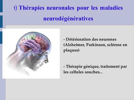 1) Thérapies neuronales pour les maladies neurodégénératives - Détérioration des neurones (Alzheimer, Parkinson, sclérose en plaques) - Thérapie génique,