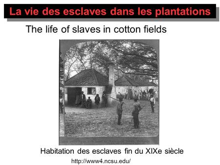 La vie des esclaves dans les plantations  Habitation des esclaves fin du XIXe siècle The life of slaves in cotton fields.