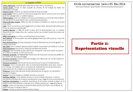 Kit de connaissances 1ere L-ES Bac 2014 Dominique FARGUES – Agnès TELLIER – Internat d’Excellence de Montpellier Partie 1: Représentation visuelle Le vocabulaire.