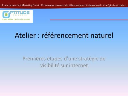 Etude de marché Marketing Direct Performance commerciale Développement international stratégie d'entreprise Atelier : référencement naturel Premières étapes.