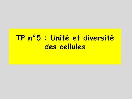 TP n°5 : Unité et diversité des cellules. La cellule, unité fondamentale du vivant a été abordée dans l'activité précédente grâce au microscope photonique.