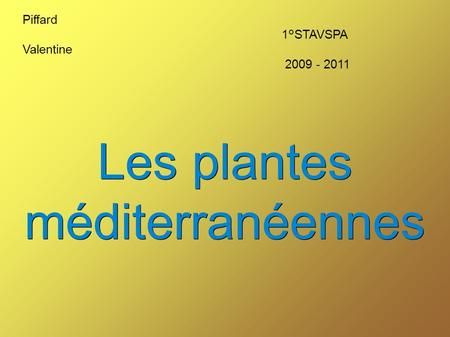 Piffard 1°STAVSPA Valentine 2009 - 2011 Les plantes méditerranéennes.