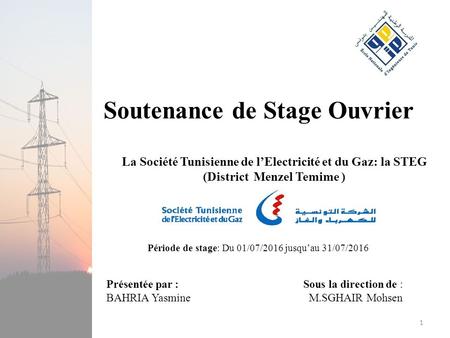 La Société Tunisienne de l’Electricité et du Gaz: la STEG (District Menzel Temime ) Soutenance de Stage Ouvrier Présentée par : BAHRIA Yasmine Sous la.