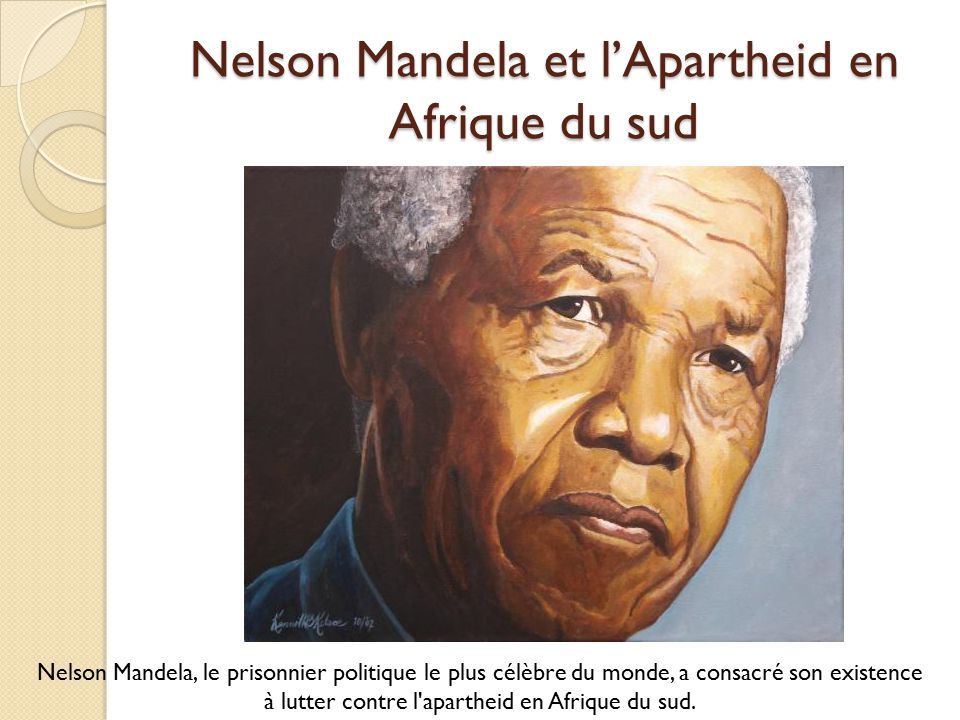 L'Afrique du sud bannit le drapeau de l'apartheid