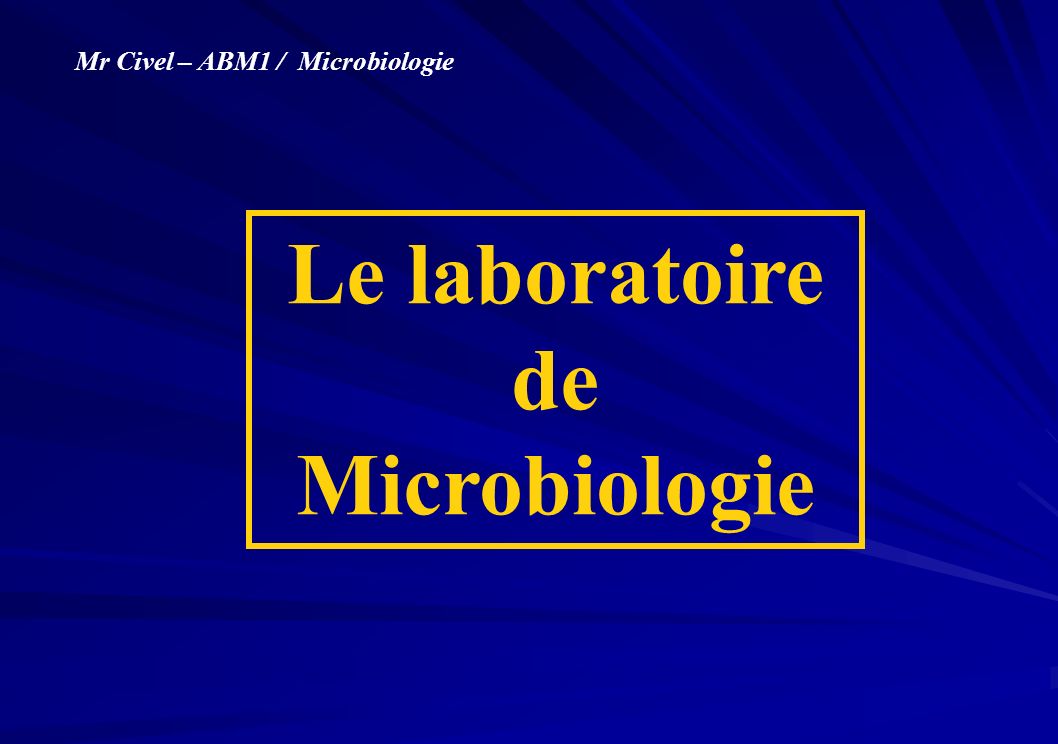 Pipettes Pasteur - Pipette microbiologie - Microbiologie : analyses et  mesures - Matériel de laboratoire