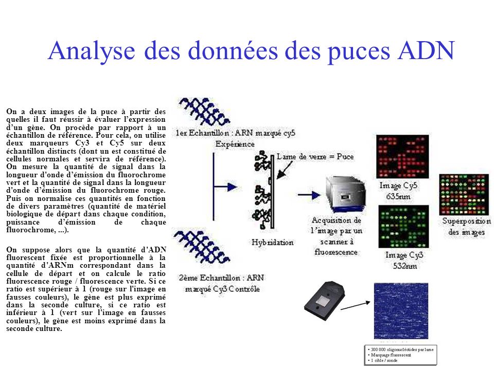 5 Principe d'une puce à ADN