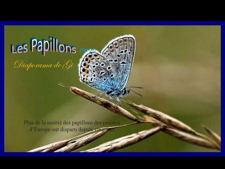 Plus de la moitié des papillons des prairies d’Europe ont disparu depuis vingt ans Diaporama de Gi (N° 2)