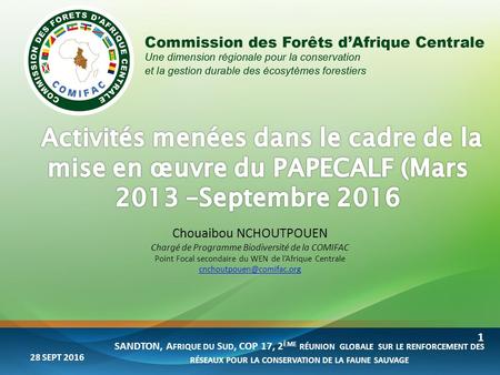 Chouaibou NCHOUTPOUEN Chargé de Programme Biodiversité de la COMIFAC Point Focal secondaire du WEN de l’Afrique Centrale SANDTON,