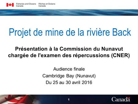 Projet de mine de la rivière Back Présentation à la Commission du Nunavut chargée de l'examen des répercussions (CNER) Audience finale Cambridge Bay (Nunavut)
