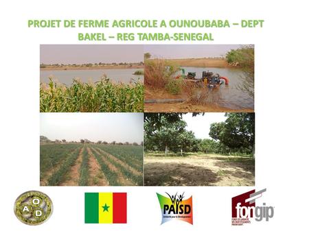 PROJET DE FERME AGRICOLE A OUNOUBABA – DEPT BAKEL – REG TAMBA-SENEGAL.