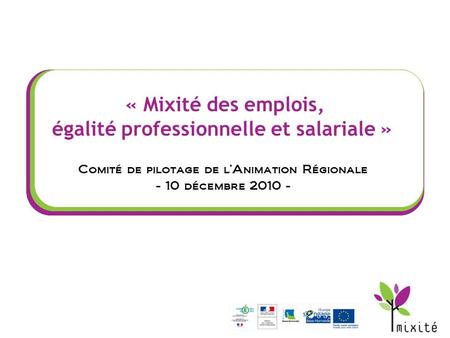 « Mixité des emplois, égalité professionnelle et salariale » Comité de pilotage de l’Animation Régionale - 10 décembre