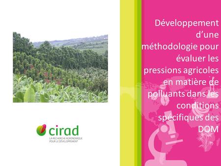 Développement d’une méthodologie pour évaluer les pressions agricoles en matière de polluants dans les conditions spécifiques des DOM.