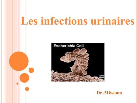 Les infections urinaires Dr.Missoum. L ES BACTÉRIES EN CAUSE (I NFECTIONS COMMUNAUTAIRES ) Les Entérobactéries BG- anaérobies= 80 % dont E.coli (70 %)
