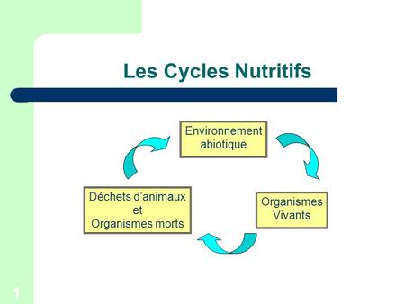 1 Les Cycles Nutritifs Déchets d’animaux et Organismes morts Organismes Vivants Environnement abiotique.