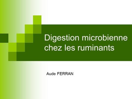 Digestion microbienne chez les ruminants
