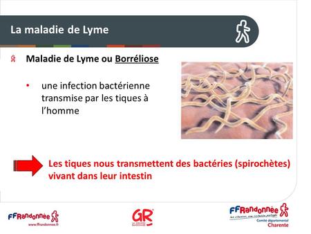 La maladie de Lyme Maladie de Lyme ou Borréliose une infection bactérienne transmise par les tiques à l’homme Les tiques nous transmettent des bactéries.