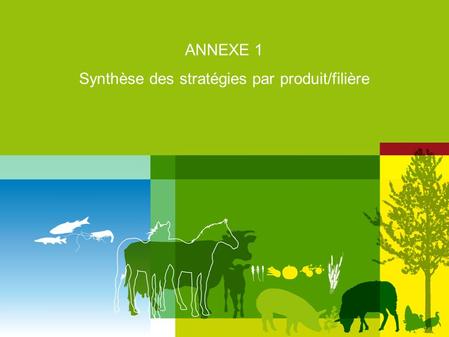 ANNEXE 1 Synthèse des stratégies par produit/filière.