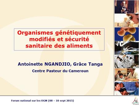 Organismes génétiquement modifiés et sécurité sanitaire des aliments Forum national sur les OGM (08 – 10 sept 2015) Antoinette NGANDJIO, Grâce Tanga Centre.