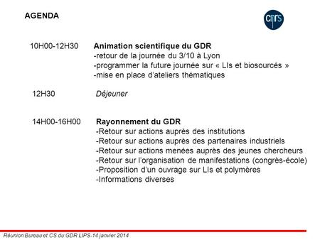 Réunion Bureau et CS du GDR LIPS-14 janvier 2014 AGENDA 10H00-12H30Animation scientifique du GDR -retour de la journée du 3/10 à Lyon -programmer la future.