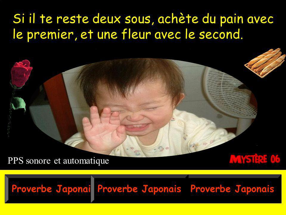 proverbe japonais rencontre