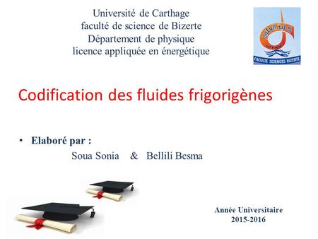 Université de Carthage faculté de science de Bizerte Département de physique licence appliquée en énergétique Elaboré par : Soua Sonia & Bellili Besma.