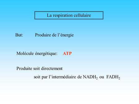 La respiration cellulaire But:Produire de l’énergie Molécule énergétique:ATP Produite soit directement soit par l’intermédiaire de NADH 2 ou FADH 2.
