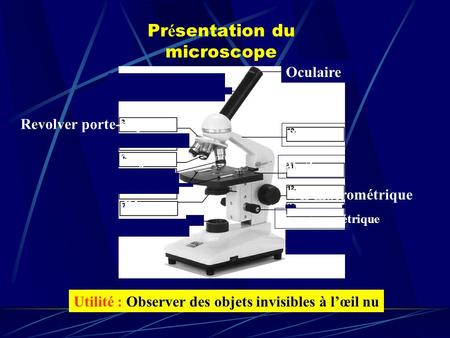 Présentation du microscope
