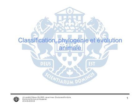 Classification, phylogénie et évolution animale