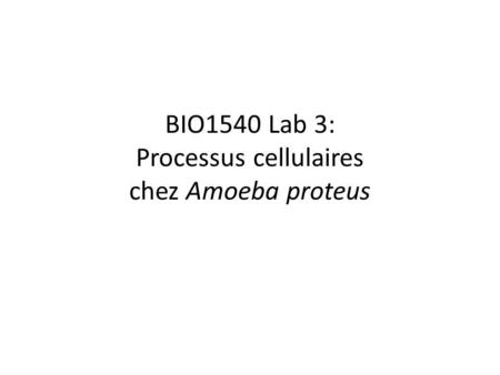 BIO1540 Lab 3: Processus cellulaires chez Amoeba proteus
